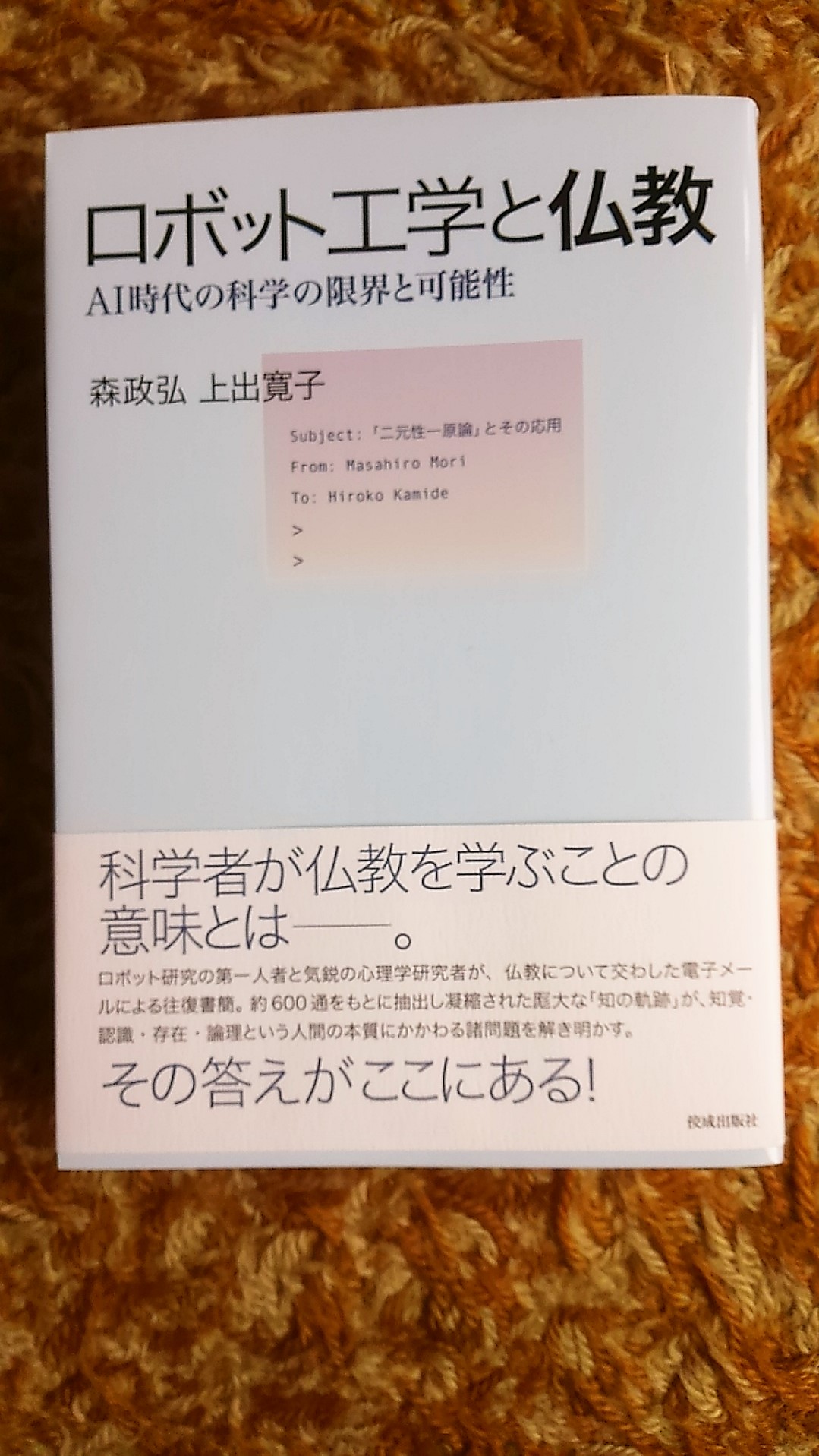大雲好日日記－１　「早矢仕ライス」