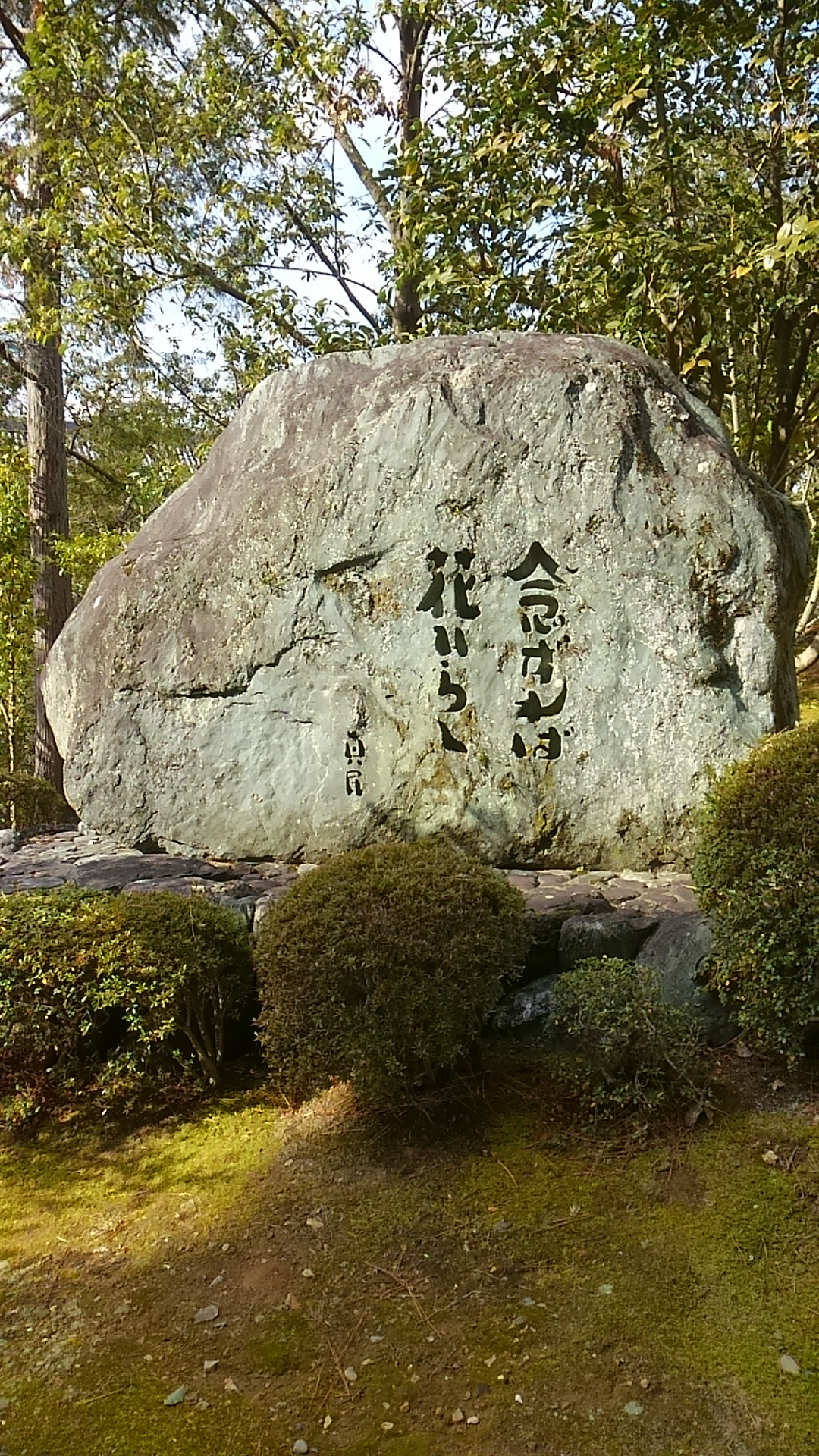 大雲好日日記－２６　「坂村真民のこと　禅と詩魂と」