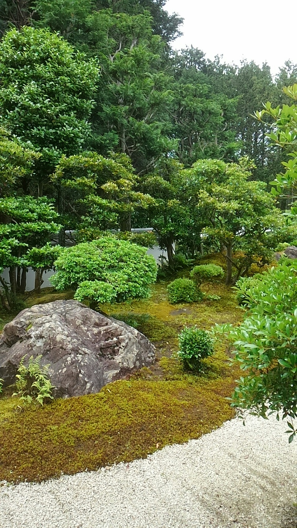 大雲好日日記－４５　「植物の情（こころ）」沢庵宗彭『玲瓏集』より