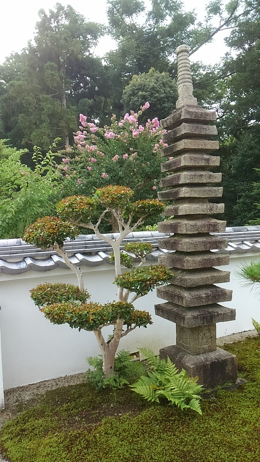 大雲好日日記－５３　「幽霊人間」