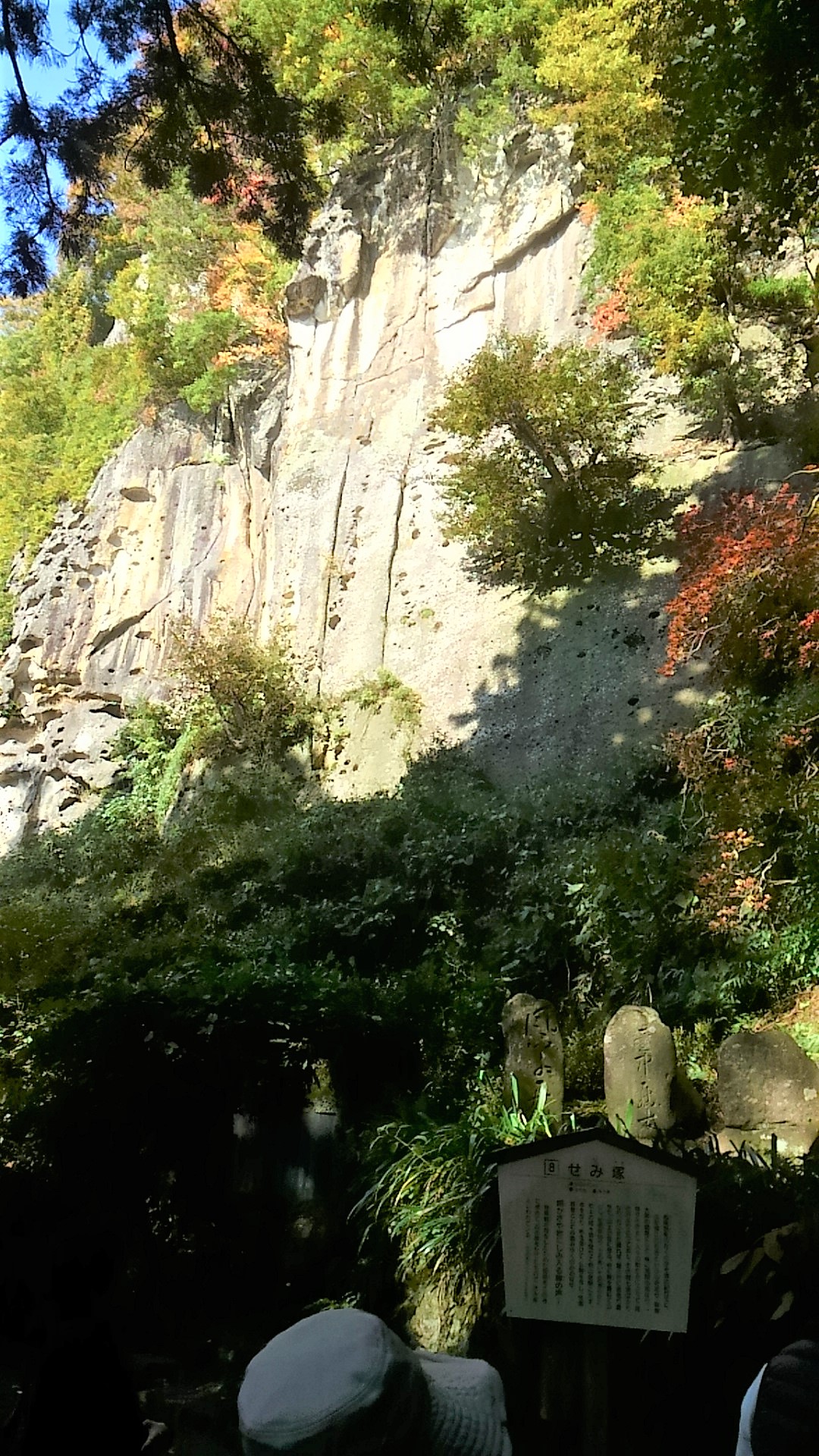 大雲好日日記－５４　「蝉しぐれ」