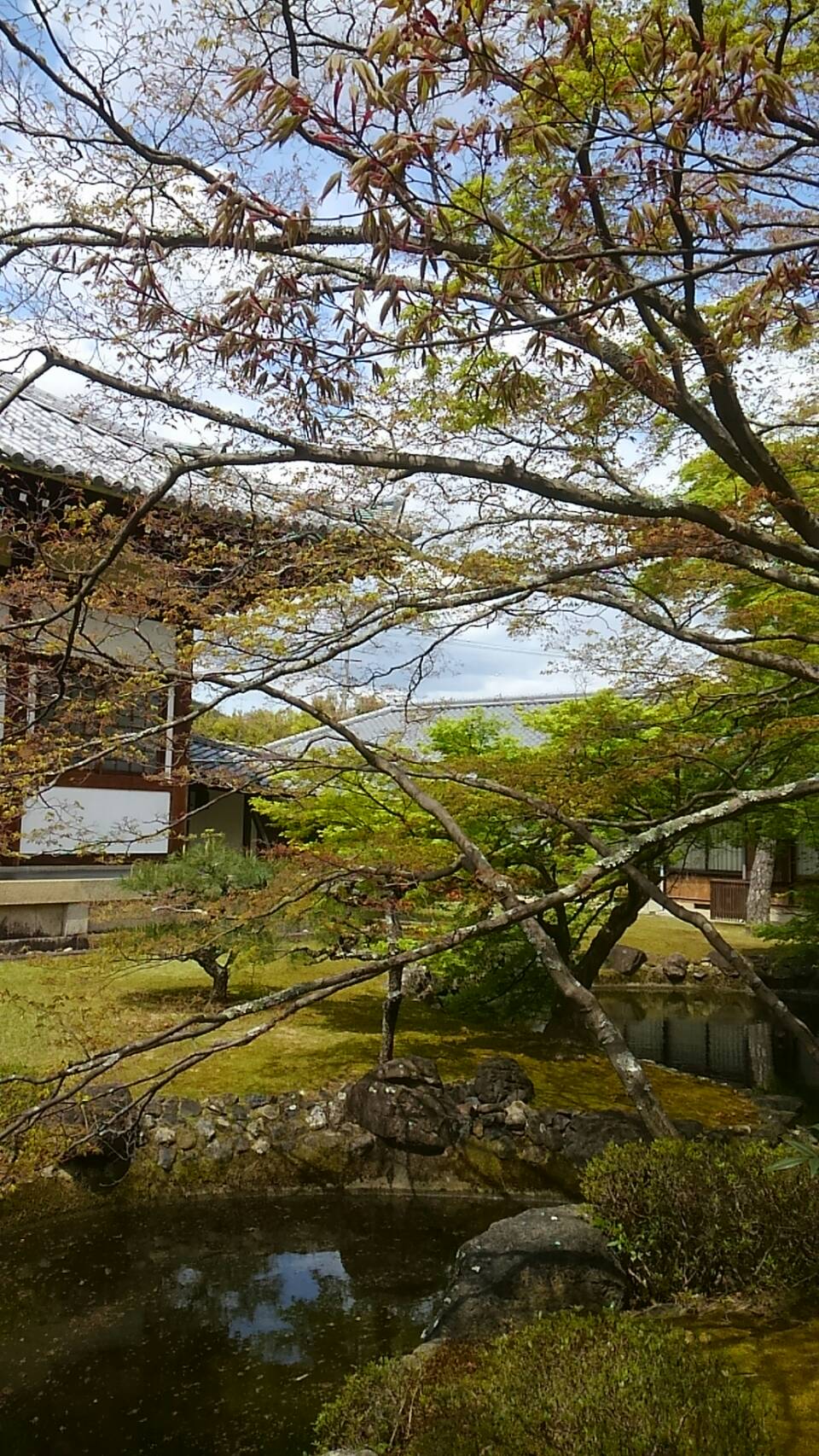 大雲好日日記－９２　「石に坐して薫風を待つ」
