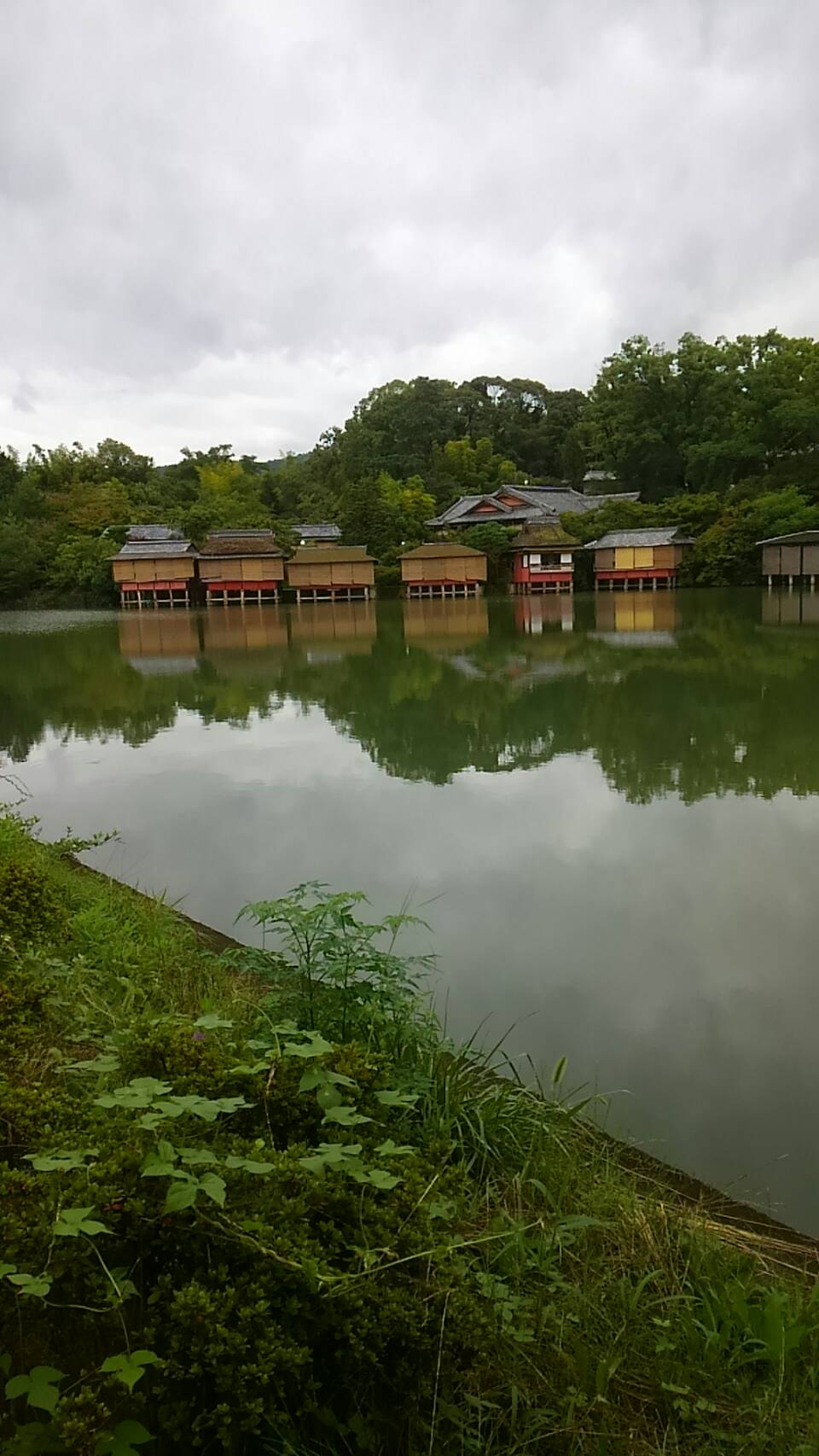 大雲好日日記ー１０３　「景観は一日にして成らず」