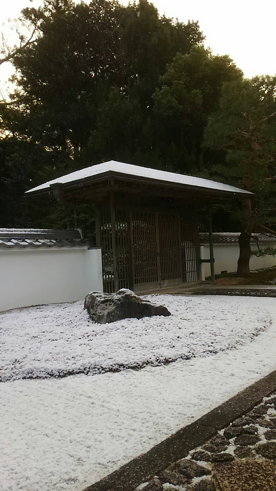 大雲好日日記ー１１５　「禅と念仏」