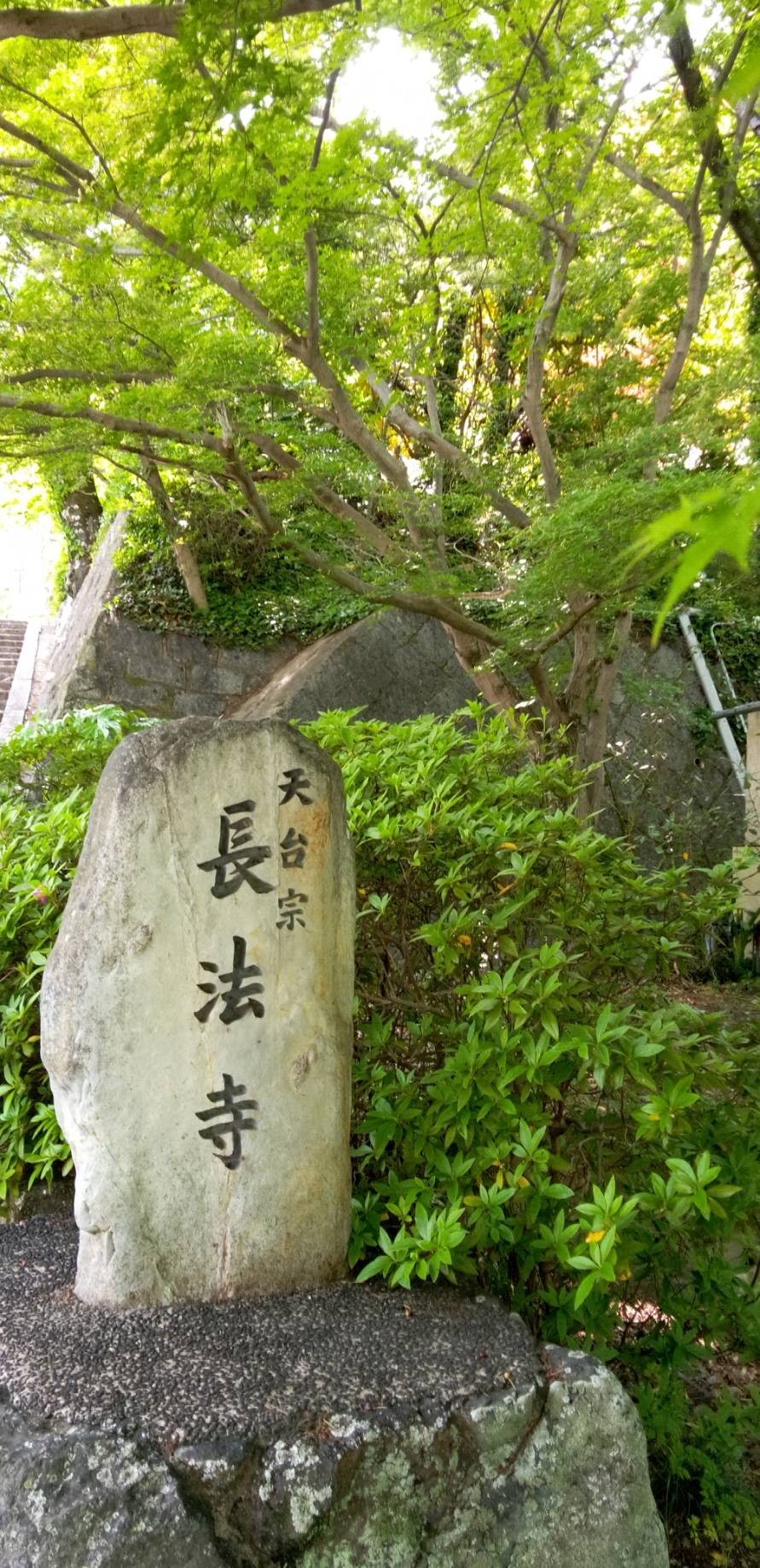 大雲好日日記－１３０　「長法寺」長岡京歴史散歩（２）