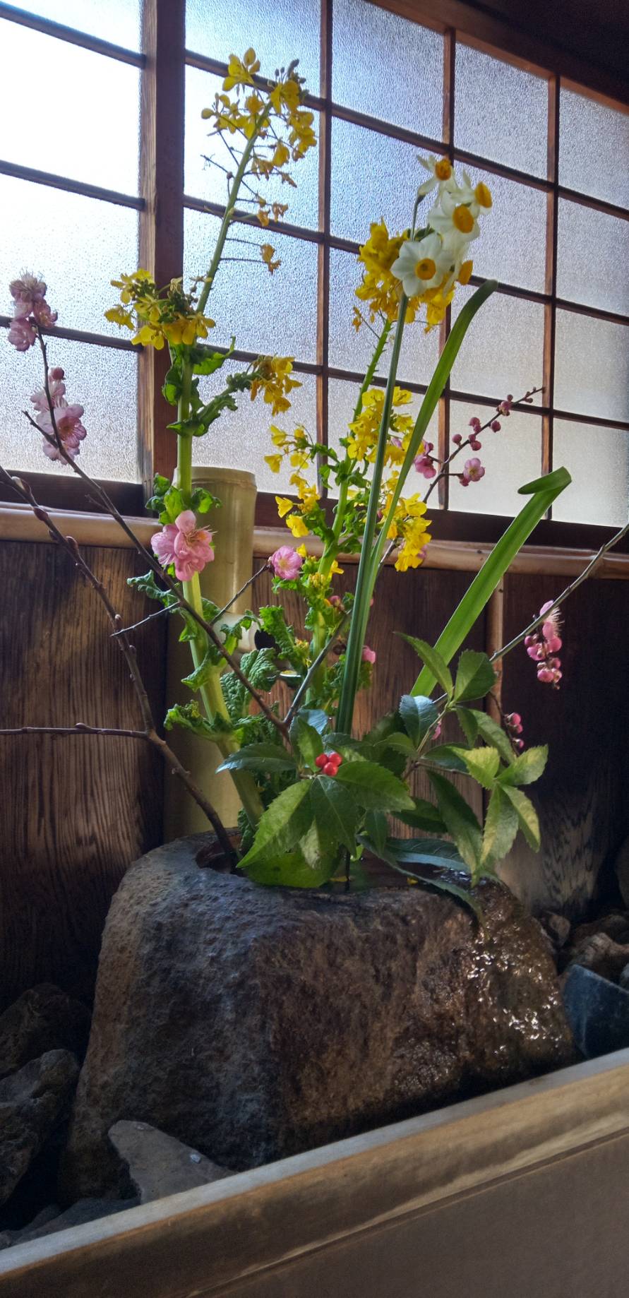 大雲好日日記－１６５　「卒業生の贈り物」