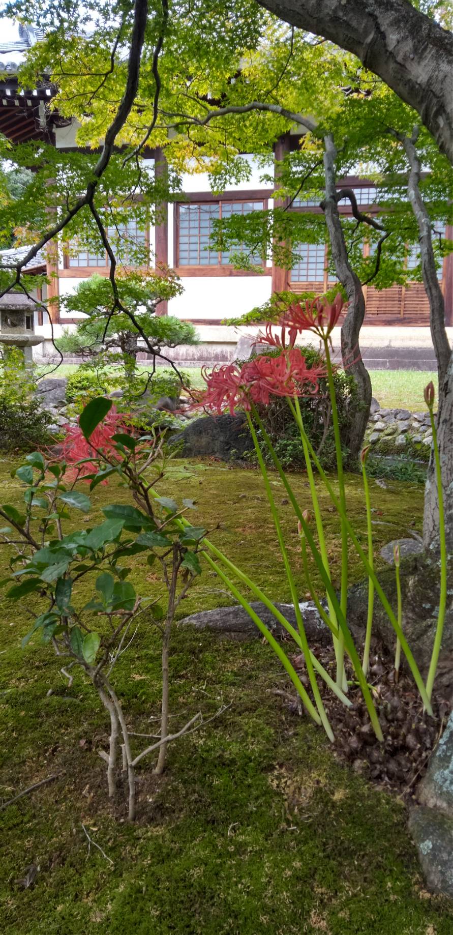 大雲好日日記－１９１　「宗教と生活」