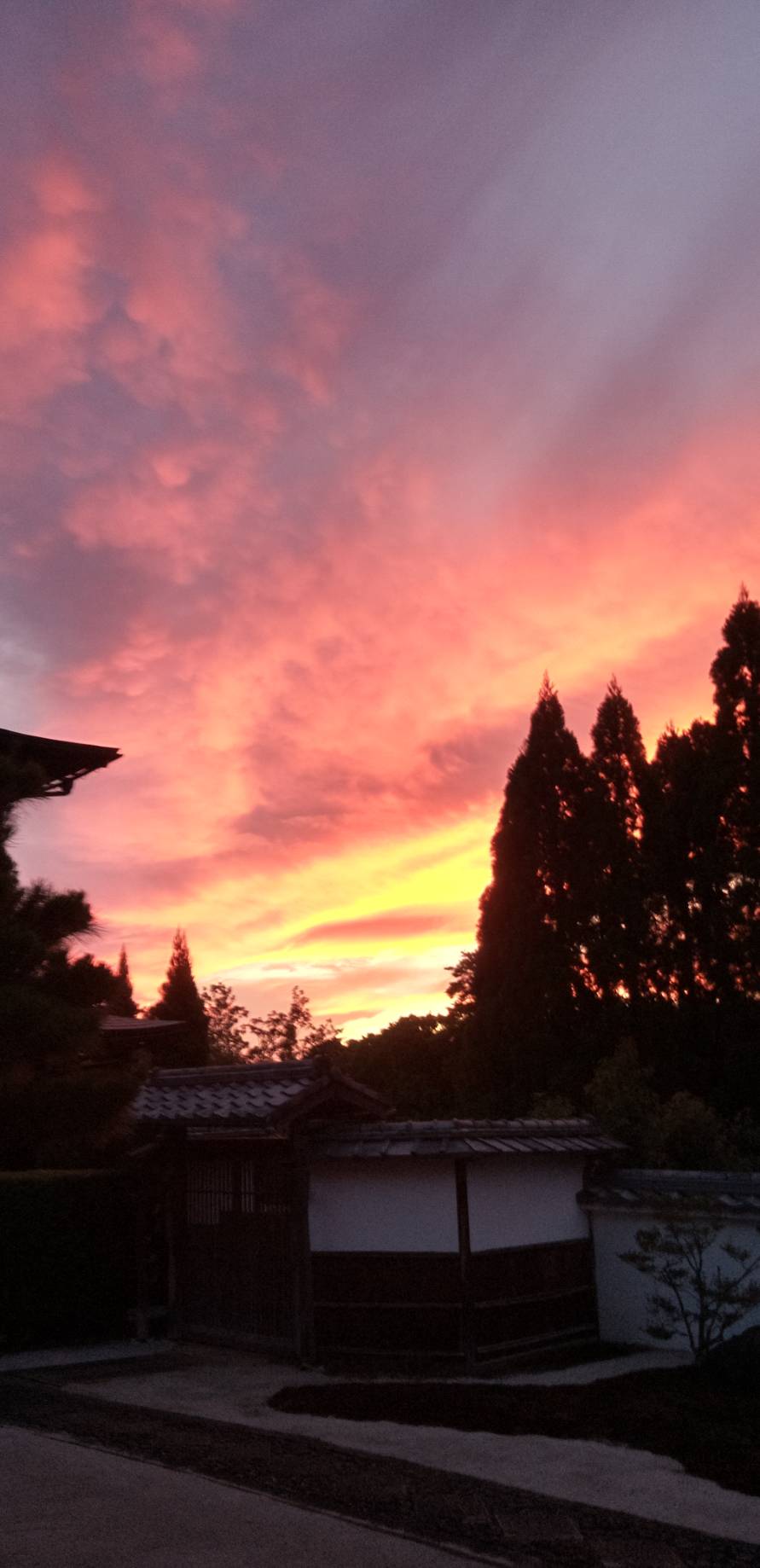 大雲好日日記－１９２　「曙覧の“たのしみは”」