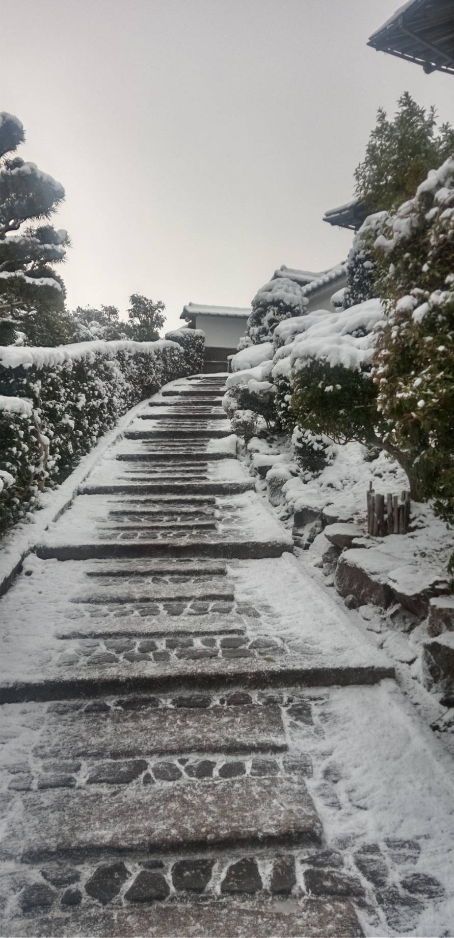 大雲好日日記－２０７　「傘寿老人の川柳傑作選」