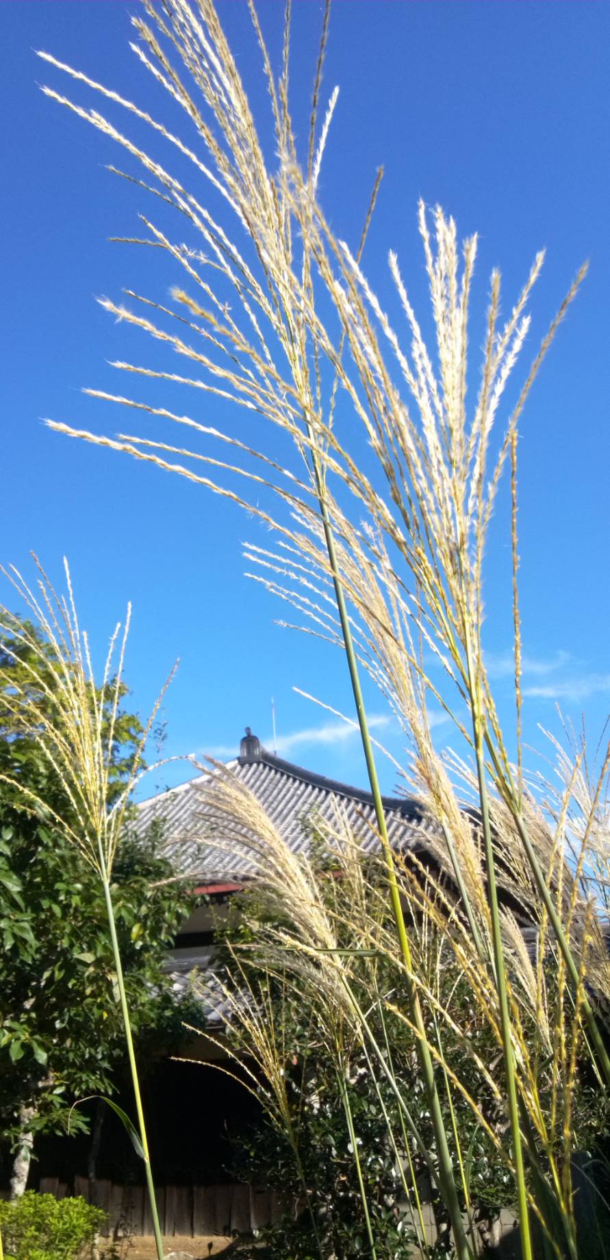 法語掲示板－２６　「道を学ぶべし」
