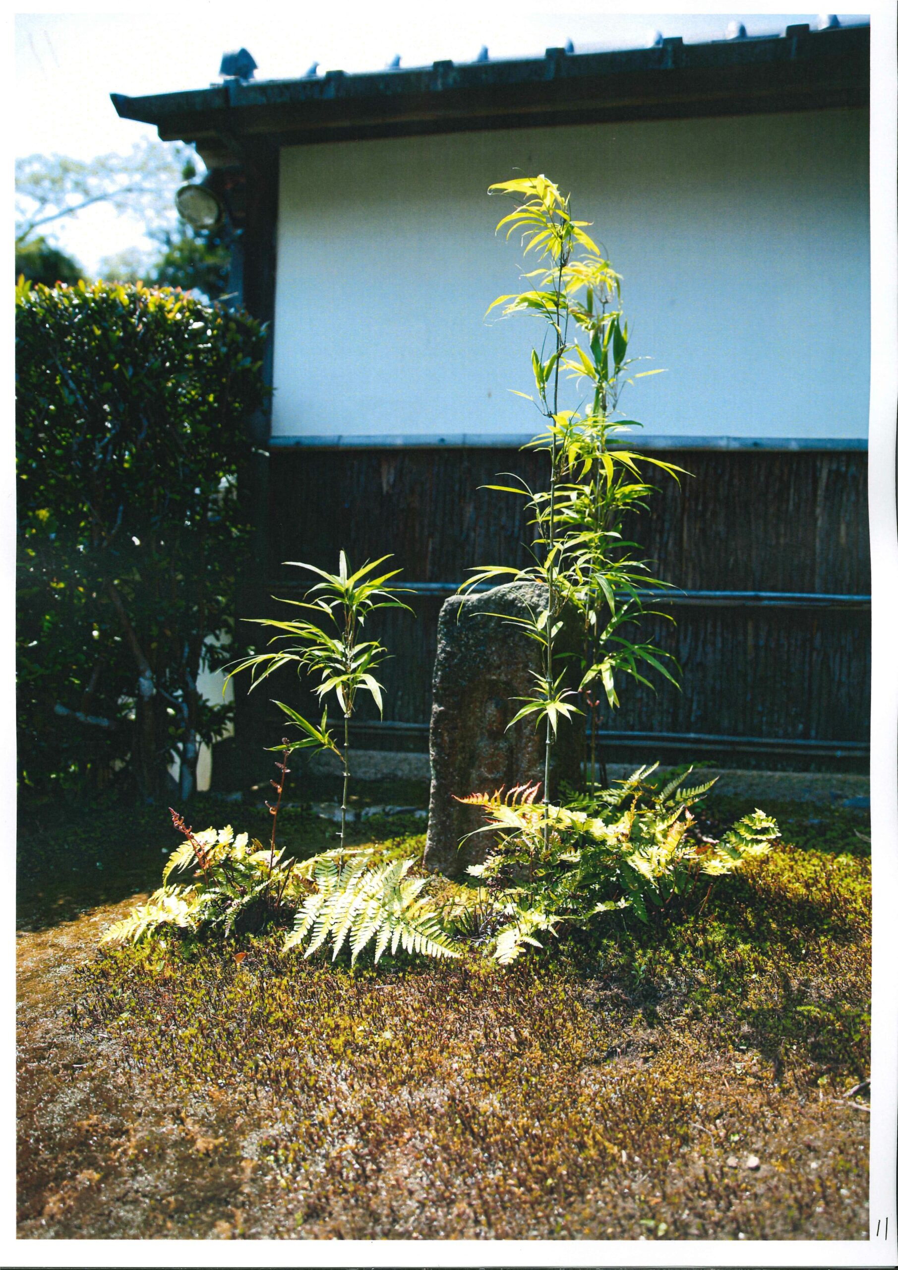 大雅窟遺風（二十五）