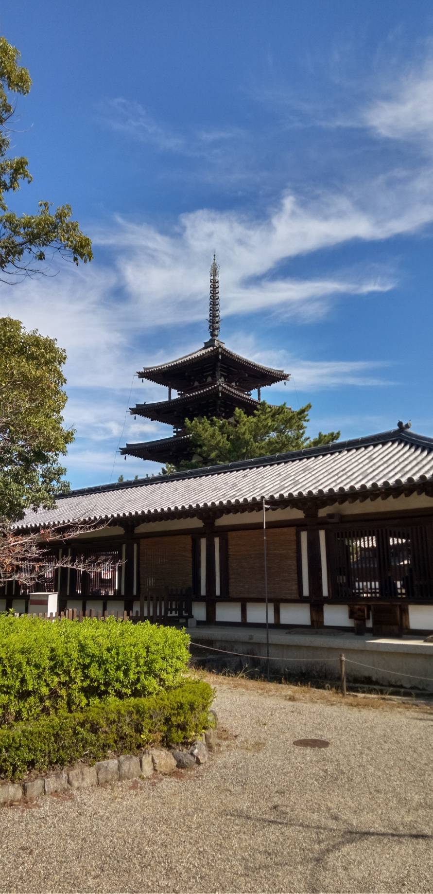 大雲好日日記－２３６　「法隆寺再訪」