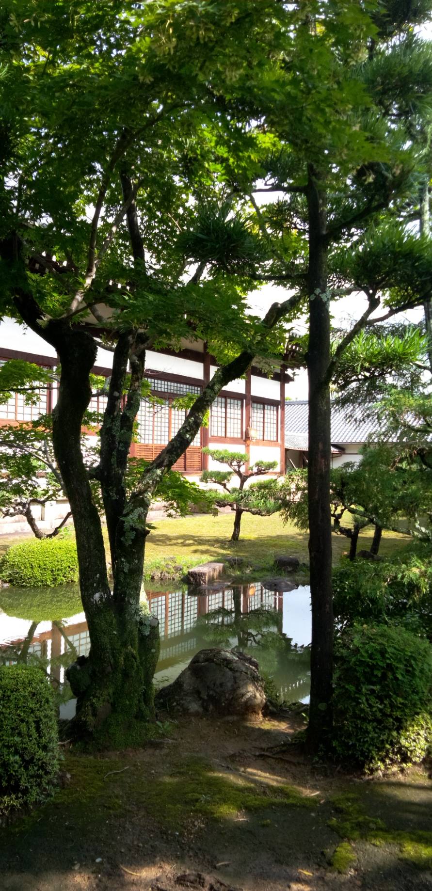 大雲好日日記－２４３　「気の充実」