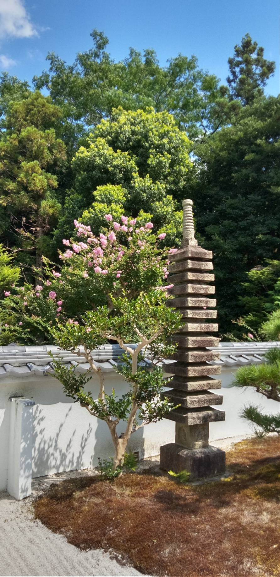大雲好日日記２４４　「西田哲学の先細り？」
